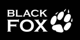 Ремонт техники Black Fox
