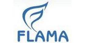 Ремонт техники Flama group